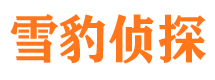 抚州外遇出轨调查取证